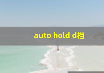 auto hold d档